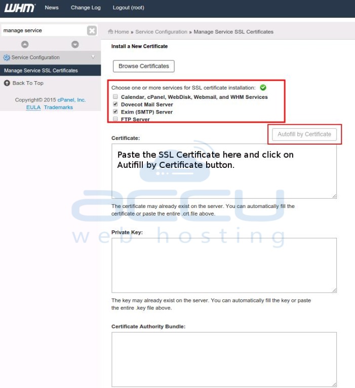 Selecting The Best Web Hosting Company