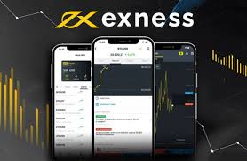 Comprehensive Overview of Exness FX Broker