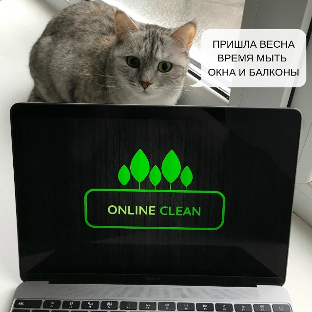 Клининг профессиональная уборка для вашего комфорта 804176003