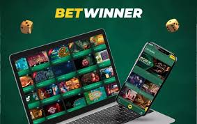 Discover the BetWinner Platform A Comprehensive Guide to Online Betting