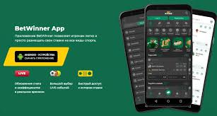 BetWinner Online Sportsbook Your Ultimate Guide to Betting Success
